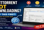 qBittorrent not downloading fix showing 0 percent progress and connecting to peers issue solution